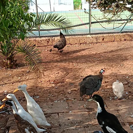 Dom wakacyjny Relax *