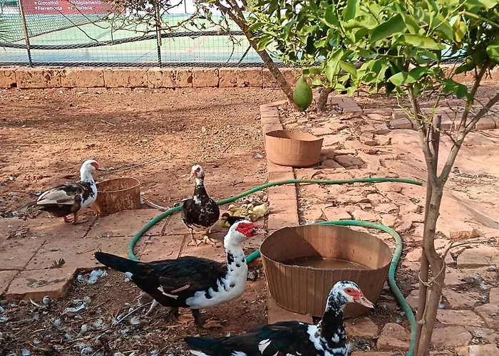 Relax Dom wakacyjny *