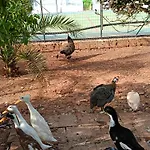 Сasa de vacaciones Relax *